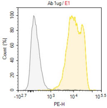 Anti-CD205/Ly-75 Antibody, clone HD30