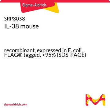 IL-38 mouse recombinant, expressed in E. coli, FLAG&#174; tagged, &gt;95% (SDS-PAGE)