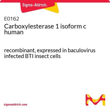 Carboxylesterase 1 isoform c human recombinant, expressed in baculovirus infected BTI insect cells