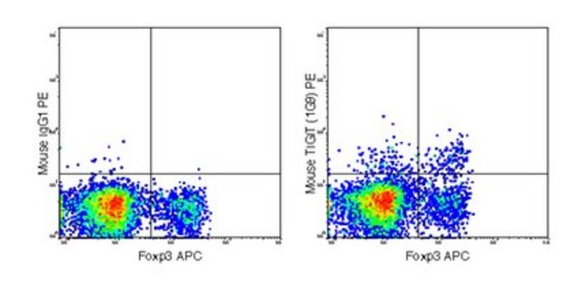 Anti-TIGIT (mouse), PE, clone 1G9 Antibody clone 1G9, from mouse, PE