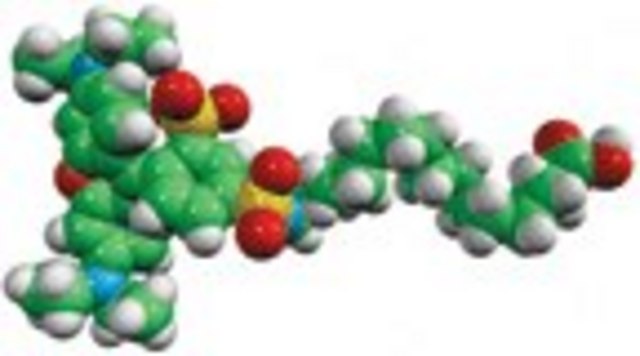 palmitic acid - lissamine rhodamine Avanti Research&#8482; - A Croda Brand 810104P, powder