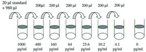 Mouse MIP-3 &#946;&#160;/ CCL19 ELISA Kit for serum, plasma and cell culture supernatant