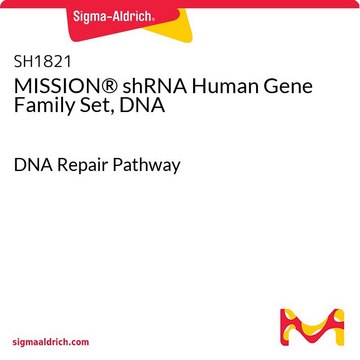 MISSION&#174; shRNA Human Gene Family Set, DNA DNA Repair Pathway