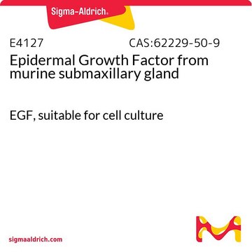 Epidermal Growth Factor from murine submaxillary gland EGF, suitable for cell culture