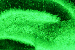 Monoclonal Anti-MAP2 antibody produced in mouse clone HM-2, ascites fluid