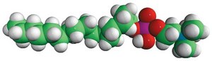 MAPCHO&#8482;-16 n-hexadecylphosphocholine, powder