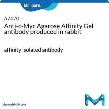 Anti-c-Myc Agarose Affinity Gel antibody produced in rabbit affinity isolated antibody