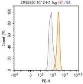 Anti-Cas9 Antibody, clone 1C12-H1 ZooMAb&#174; Rabbit Monoclonal recombinant, expressed in HEK 293 cells