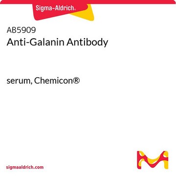 Anti-Galanin Antibody serum, Chemicon&#174;