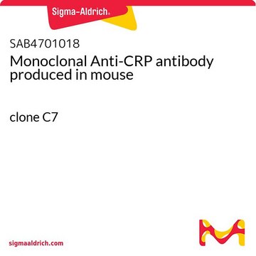 Monoclonal Anti-CRP antibody produced in mouse clone C7