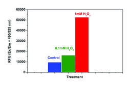 Fluorometric Intracellular Ros Kit sufficient for 200&#160;fluorometric&nbsp;tests (green)