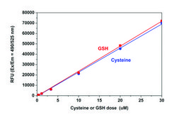 Fluorometric Thiol Assay Kit sufficient for 200&#160;fluorometric&nbsp;tests