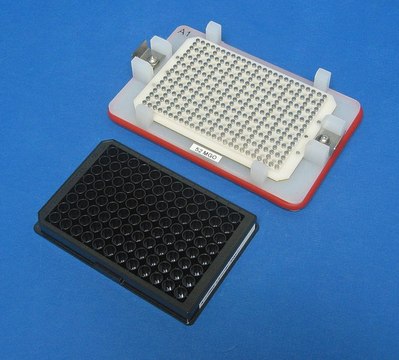 Handheld Magnetic Separator Block for 96 Well Flat Bottom Plates or 96 Well Conical Well Plates