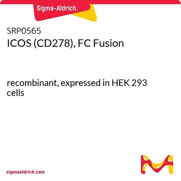 ICOS (CD278), FC Fusion recombinant, expressed in HEK 293 cells