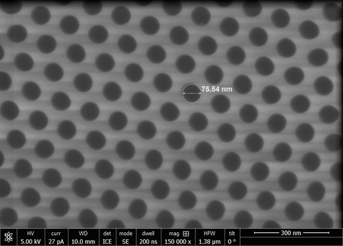 SmartPor, alumina membrane thickness 50&#160;&#956;m, pore diameter 75&#160;nm, pore size 125&#160;nm (interpore distance), size 10&#160;mm × 10&#160;mm, pkg of 10&#160;pieces