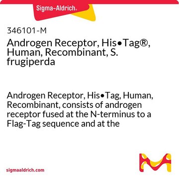 Androgen Receptor, His&#8226;Tag&#174;, Human, Recombinant, S. frugiperda recombinant human, expressed in S. frugiperda