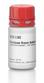 Enolase from baker’s yeast (S.&#160;cerevisiae) lyophilized powder, &#8805;50&#160;units/mg protein