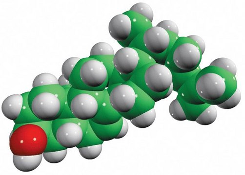5&#945;-7,24-cholestadiene Avanti Research&#8482; - A Croda Brand 700114P, powder
