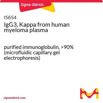 IgG3, Kappa from human myeloma plasma purified immunoglobulin, &gt;90% (microfluidic capillary gel electrophoresis)