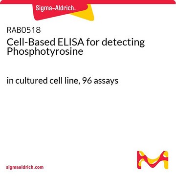 Cell-Based ELISA for detecting Phosphotyrosine in cultured cell line, 96&#160;assays