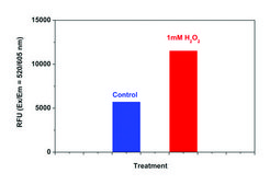 Fluorometric Intracellular Ros Kit sufficient for 200&#160;fluorometric&nbsp;tests (red)