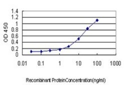 Monoclonal Anti-PLA2G4A antibody produced in mouse clone 10G5, purified immunoglobulin, buffered aqueous solution