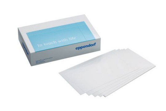 Eppendorf&#174; Masterclear&#174; Real-time PCR Film PCR clean, self-adhesive, pkg of 100&#160;ea