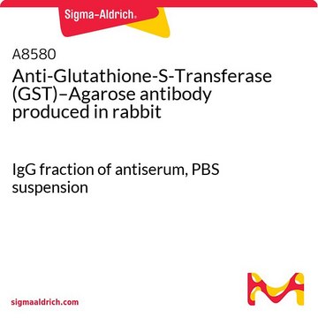 Anti-Glutathione-S-Transferase (GST)–Agarose antibody produced in rabbit IgG fraction of antiserum, PBS suspension