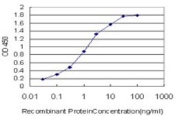 Monoclonal Anti-CELSR3 antibody produced in mouse clone 2F7, purified immunoglobulin, buffered aqueous solution