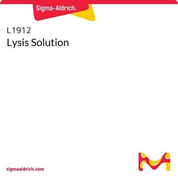 Lysis Solution