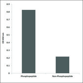 Anti-phospho-TNFRSF5 (pThr254) antibody produced in rabbit affinity isolated antibody