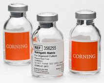 Corning&#174; Matrigel&#174; Matrix for Organoid Culture Phenol Red Free, pack of 10&#160;mL