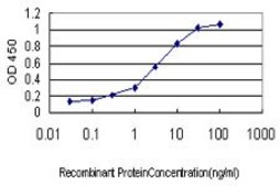 Monoclonal Anti-BCL2L14 antibody produced in mouse clone 1F2, purified immunoglobulin, buffered aqueous solution