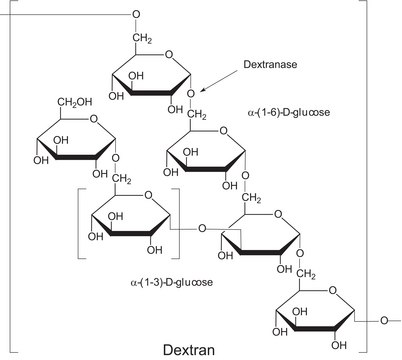 Dextranase from Penicillium sp. lyophilized powder, 100-250&#160;units/mg protein