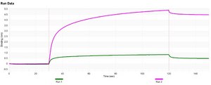 Anti-2A Peptide
