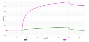 Anti-MR1 Antibody, clone 1D18 ZooMAb&#174; Rabbit Monoclonal recombinant, expressed in HEK 293 cells