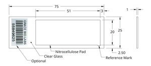 Grace Bio-Labs ONCYTE&#174; NOVA&#8482; nitrocellulose film slides 1- 20 mm x 51 mm NC pad per slide, frosted end glass