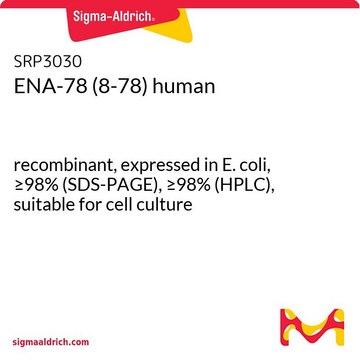 ENA-78 (8-78) human recombinant, expressed in E. coli, &#8805;98% (SDS-PAGE), &#8805;98% (HPLC), suitable for cell culture