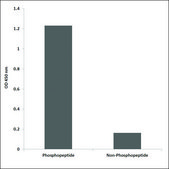 Anti-phospho-BRCA1 (pSer1457) antibody produced in rabbit affinity isolated antibody