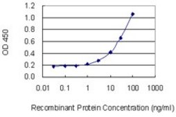 Monoclonal Anti-TPBG antibody produced in mouse clone 1B6, purified immunoglobulin, buffered aqueous solution
