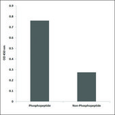 Anti-phospho-Aurora Kinase (pThr288) antibody produced in rabbit affinity isolated antibody