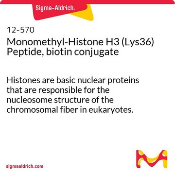 Monomethyl-Histone H3 (Lys36) Peptide, biotin conjugate Histones are basic nuclear proteins that are responsible for the nucleosome structure of the chromosomal fiber in eukaryotes.