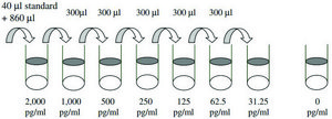 Mouse LIX / CXCL5 ELISA Kit for serum, plasma and cell culture supernatant