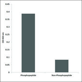 Anti-phospho-EGFR (pSer1071) antibody produced in rabbit affinity isolated antibody