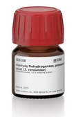 Aldehyde Dehydrogenase, potassium-activated from baker’s yeast (S.&#160;cerevisiae) lyophilized powder, &#8805;2.0&#160;units/mg protein
