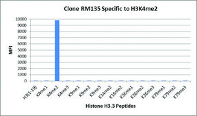 Anti-Dimethyl-Histone H3 (Lys4) antibody, Rabbit monoclonal recombinant, expressed in HEK 293 cells, clone RM135, purified immunoglobulin
