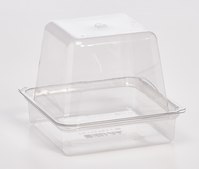Phytatray&#8482; III L × W × H 9.5&#160;cm × 9.5&#160;cm × 10.5&#160;cm, (recycled polyethylene terephthalate - RPET), sterile; &#947;-irradiated