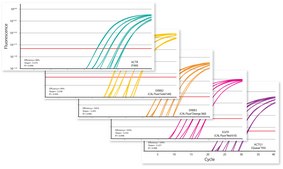 KAPA PROBE FAST suitable for qPCR, 2&#160;×, ABI Prism&#174;