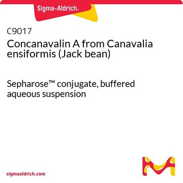 Concanavalin A from Canavalia ensiformis (Jack bean) Sepharose&#8482; conjugate, buffered aqueous suspension