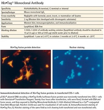 His&#8226;Tag&#174; Monoclonal Antibody Novagen&#174;